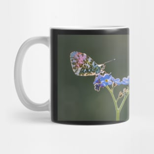 Orange Tips on Forget-me-not backlit Mug